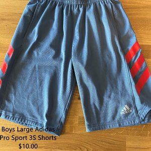 Adidas Boys Large Shorts